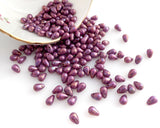4x6mm Purple Teardrops Side Drilled Drop Beads Chalk White Iris Czech Glass Beads Smooth Drop Beads Tear Drop - 50 Beads IABC-Z4X6PGDS-CIL