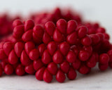 4x6mm Teardrops Side Drilled Drop Beads Opaque Red Czech Glass Beads  - 50 Beads 0EVE2297